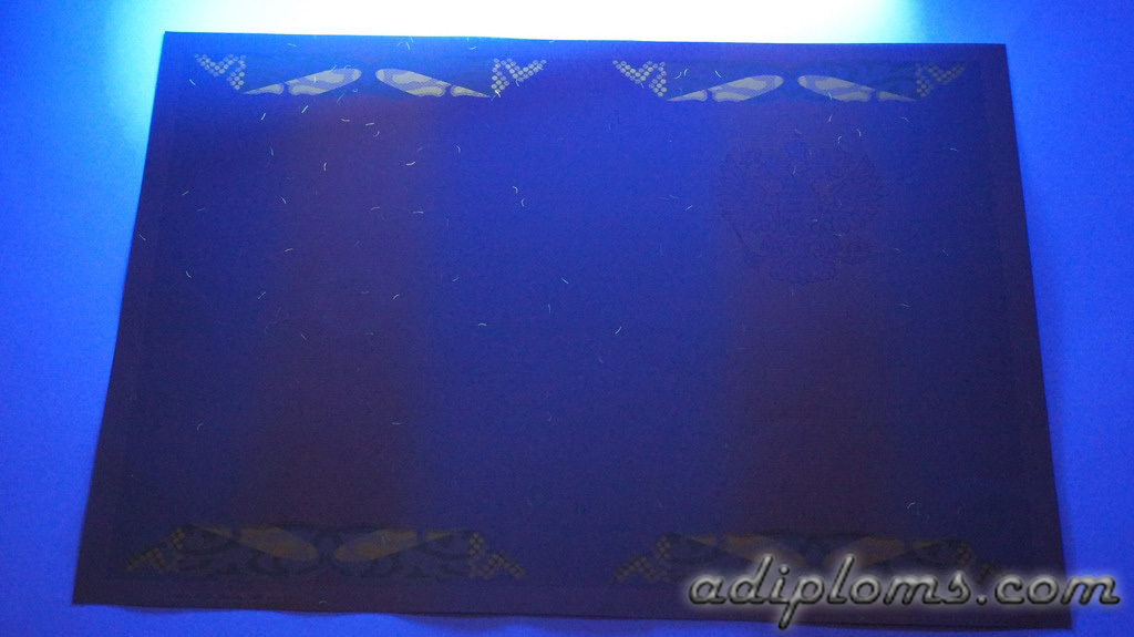 Диплом магистра 2004-2009 Фото Диплом магистра 2004-2009 Фото